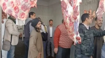 تحديثات الأسعار بأسواق الأقصر.. قائمة اللحوم في منافذ التموين ومحلات الجزارة الأحد